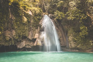 Bohol orman, katran ve çikolata tepeler, Cebu, Filipinler