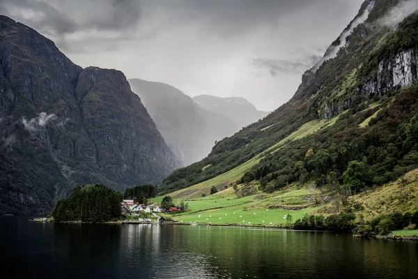 La vista del Naeroyfjord UNESCO dalla crociera, vicino a Bergen in Norvegia — Foto Stock
