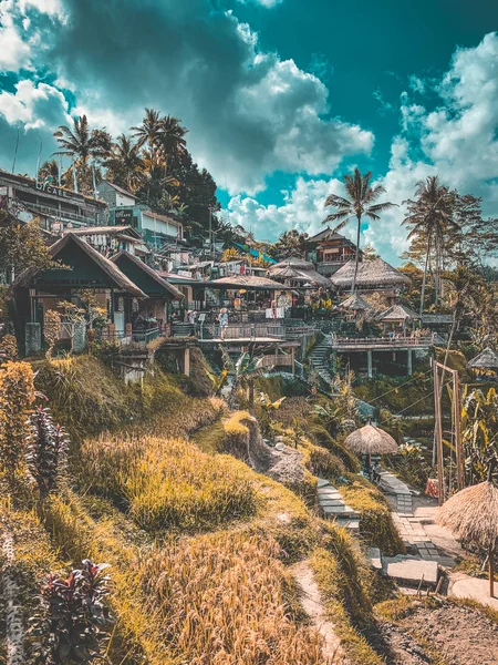 Tegallalang Rice Terraces from above, in Ubud, Bali, Indonesia — Stock Photo, Image