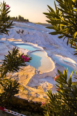 Türkiye Hierapolis'te Pamukkale havuz terasları