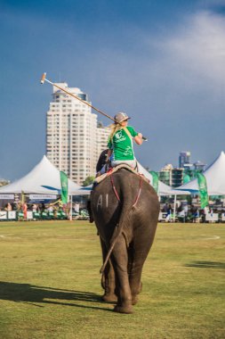 Bangkok riverside Polo Elephant Olay, Tayland