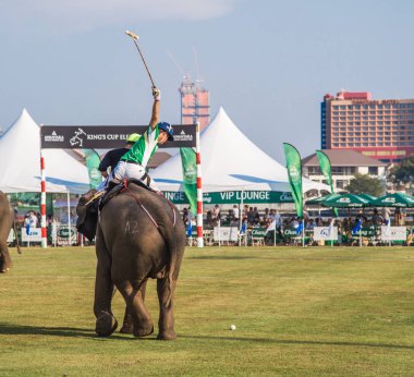 Bangkok riverside Polo Elephant Olay, Tayland