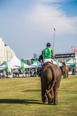 Bangkok riverside Polo Elephant Olay, Tayland
