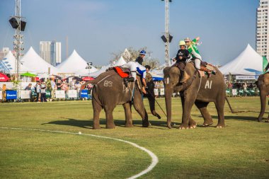 Bangkok riverside Polo Elephant Olay, Tayland