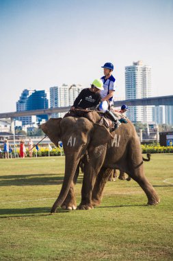 Bangkok riverside Polo Elephant Olay, Tayland