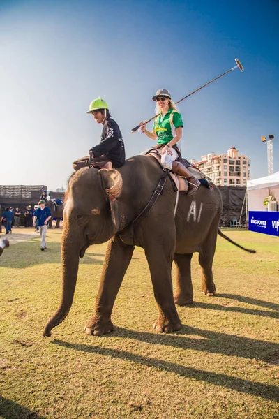 Bangkok riverside Polo Elephant Olay, Tayland