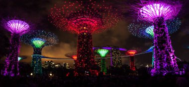 Bay doğa parkı Singapur bahçelerle