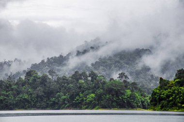 Tayland Milli Parkı Khao Sok göl manzarası