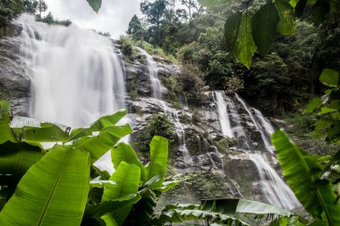 Tayland Chiang Mai Mae Şelale