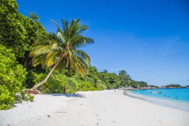 Tayland, plaj ve yukarıdan Similan ada manzarası