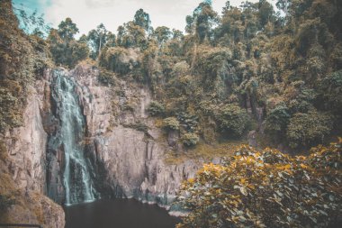 Khao Yai Milli Parkı görünümü ve Tayland tatil