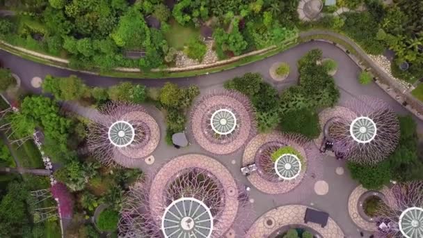 Marina Bay Och Garden Vid Bukten Antenn Utsikt Singapore — Stockvideo