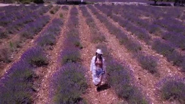 Ardeche Lavender Gorge Aerial View France — Stock Video