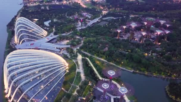 Bahía Marina Jardín Junto Bahía Vista Aérea Singapur — Vídeos de Stock