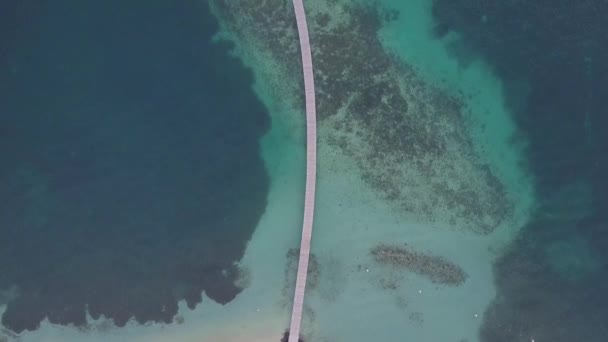 Martinica Isola Spiaggia Vista Aerea Nelle Isole Dei Caraibi — Video Stock