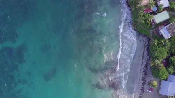 Martinica Isola Spiaggia Vista Aerea Nelle Isole Dei Caraibi — Video Stock