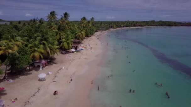 加勒比岛屿的马提尼克岛和海滩航景 — 图库视频影像