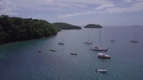 Ilha Martinica Vista Aérea Praia Nas Ilhas Caribe — Vídeo de Stock