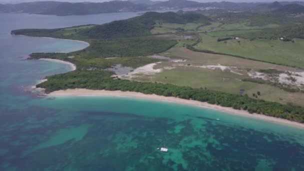 Martinique Île Plage Vue Aérienne Dans Les Îles Des Caraïbes — Video