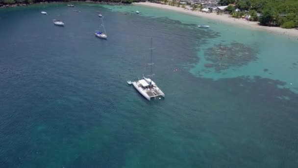 カリブ海の島々のマルティニーク島とビーチの空中ビュー — ストック動画