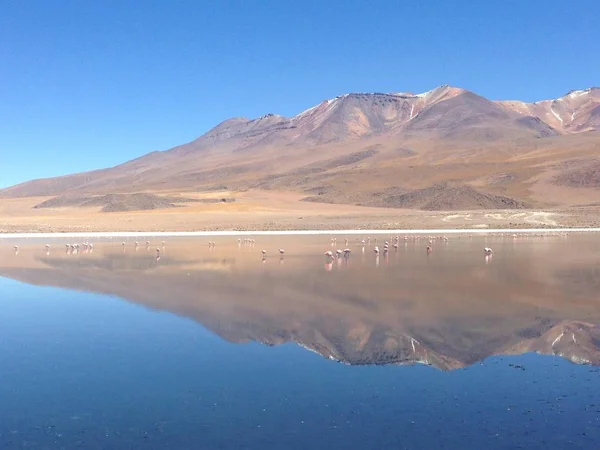 Salar de Uyuni, tra le Ande nel sud-ovest della Bolivia — Foto Stock