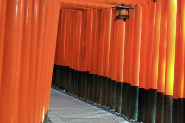 Kyoto Japonya Fushimi Inari taisha bin türbeler