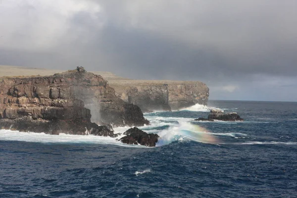 Wyspy Galapagos i jej dzika przyroda, Ekwador — Zdjęcie stockowe