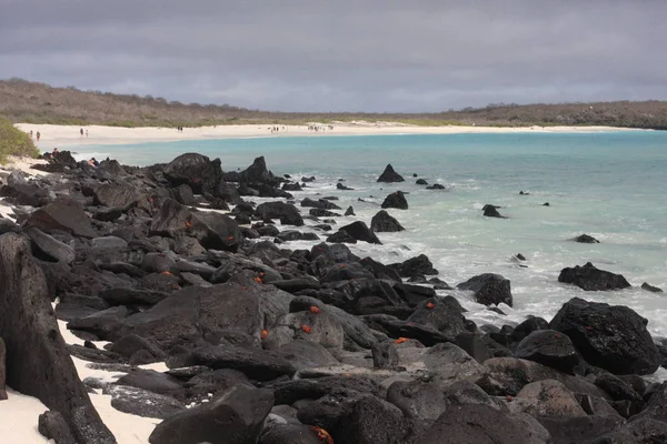 Galapagos eilanden en de natuur, in Ecuador — Stockfoto