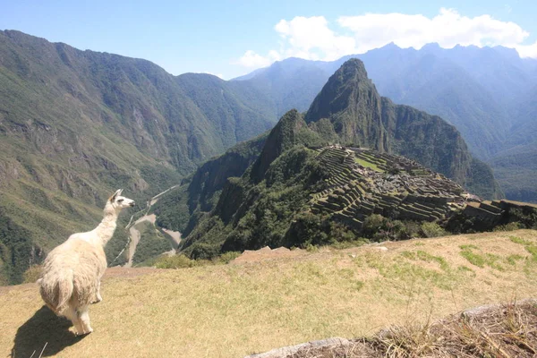 Machu Picchu Ciudadela inca en las montañas de los Andes en Perú — Foto de Stock