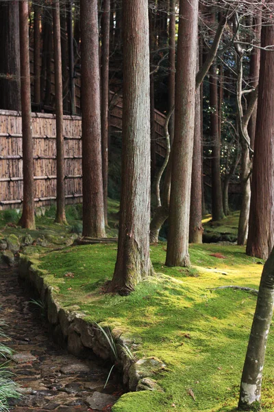 Kyoto temples lanternes et jardins japonais au Japon — Photo