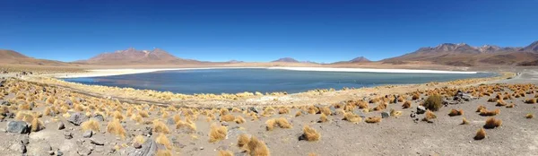 Salar de Uyuni, en medio de los Andes en el suroeste de Bolivia — Foto de Stock