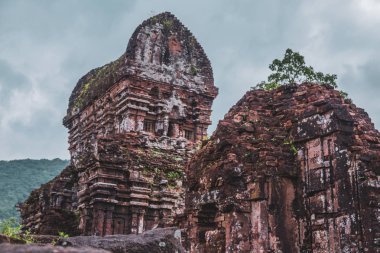 Hoi An Oğlum Sanctuary Görünümleri, Orta Vietnam