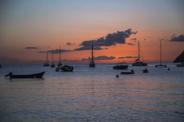 Мартиніка пляж і черепаха підводного плавання на Карибських островах — стокове фото