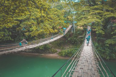 Bohol jungle, tarsier and chocolate hills, in Cebu, Philippines clipart