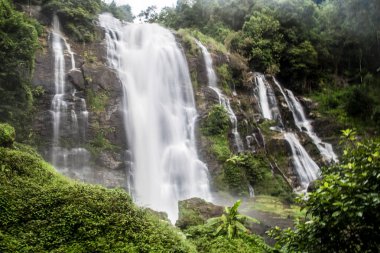 Tayland Chiang Mai Mae Şelale
