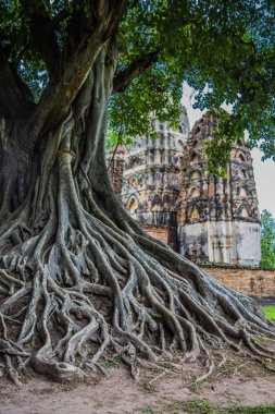 Tayland Sukhothai tarihi parkta Buddha