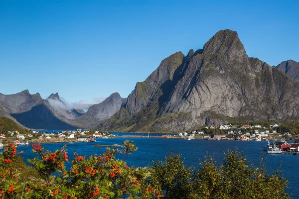 Norveç'te Lofoten adalarında Reine manzarası