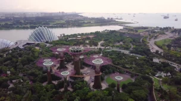 Marina Bay und Garten an der Bucht Luftaufnahme in Singapur — Stockvideo