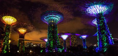 Bay doğa parkı Singapur bahçelerle