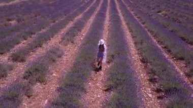 Fransa 'da Ardeche lavantası ve hava manzarası