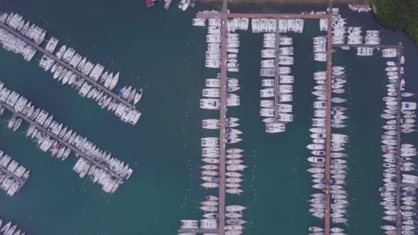 Martinique eiland en strand uitzicht vanuit de lucht in Caribische eilanden — Stockvideo