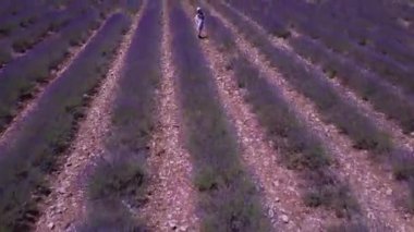 Fransa 'da Ardeche lavantası ve hava manzarası