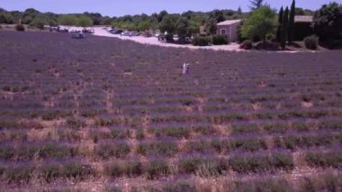 Fransa 'da Ardeche lavantası ve hava manzarası