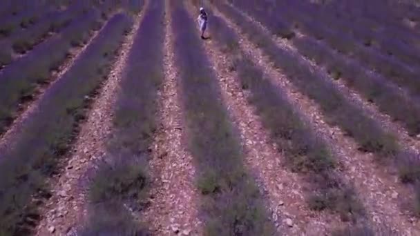 Ardeche lavendel en kloof uitzicht vanuit de lucht in Frankrijk — Stockvideo