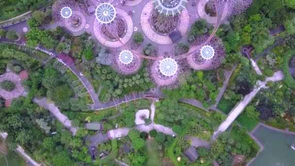 Marina Bay és Garden az öbölben légi kilátás Szingapúrban — Stock videók