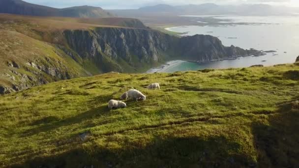 Лофотенские острова и вид на море с воздуха в Норвегии — стоковое видео