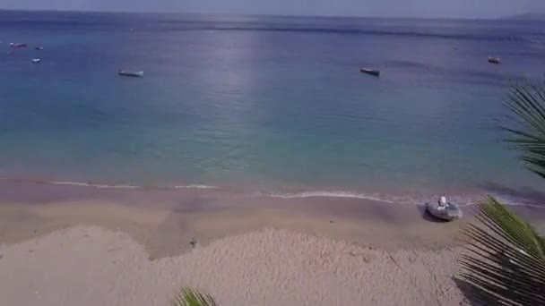 Воздушный вид на остров Мартиника и пляж островов Карибского моря — стоковое видео