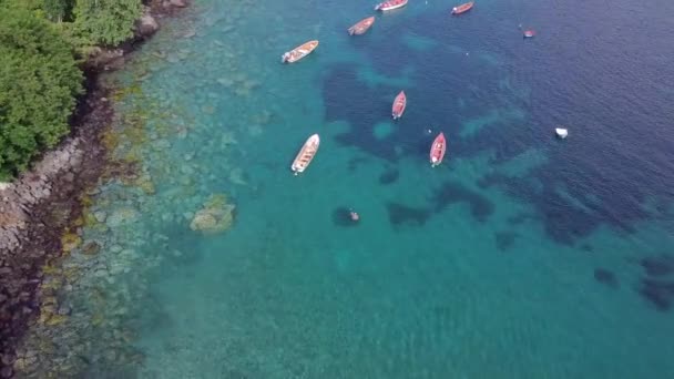 Isla Martinica y vista aérea de la playa en las islas del Caribe — Vídeos de Stock