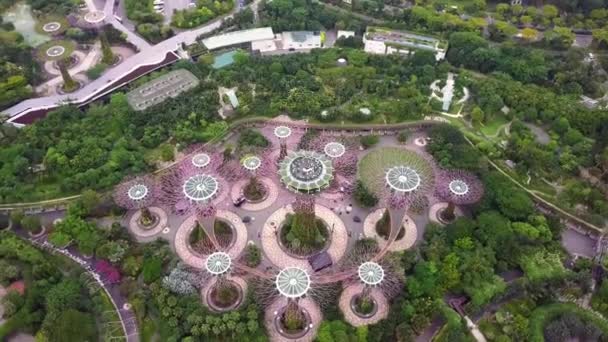 Marina Bay és Garden az öbölben légi kilátás Szingapúrban — Stock videók