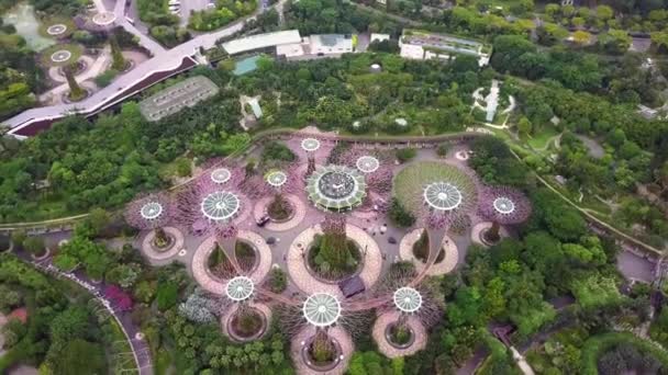 Bahía Marina y Jardín junto a la bahía vista aérea en Singapur — Vídeos de Stock